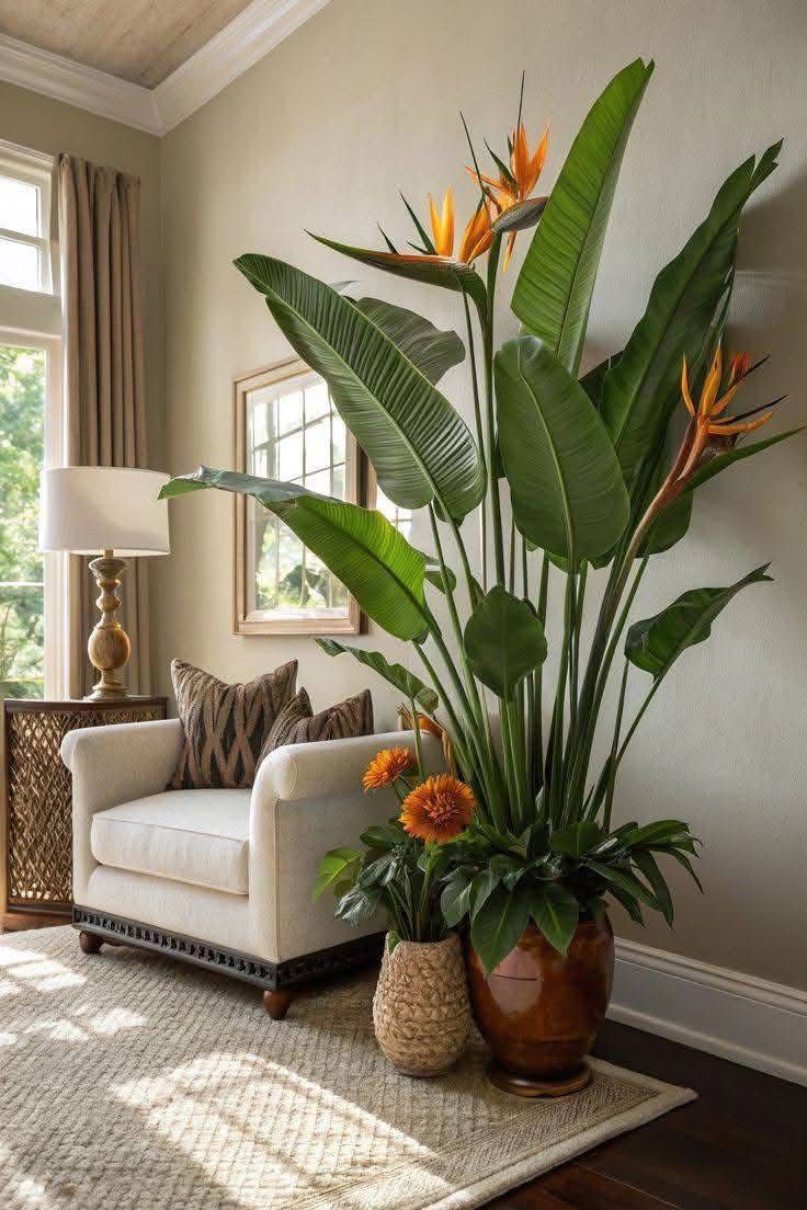 WhatsApp Image 2025-08-10 at 6.43.50 PM