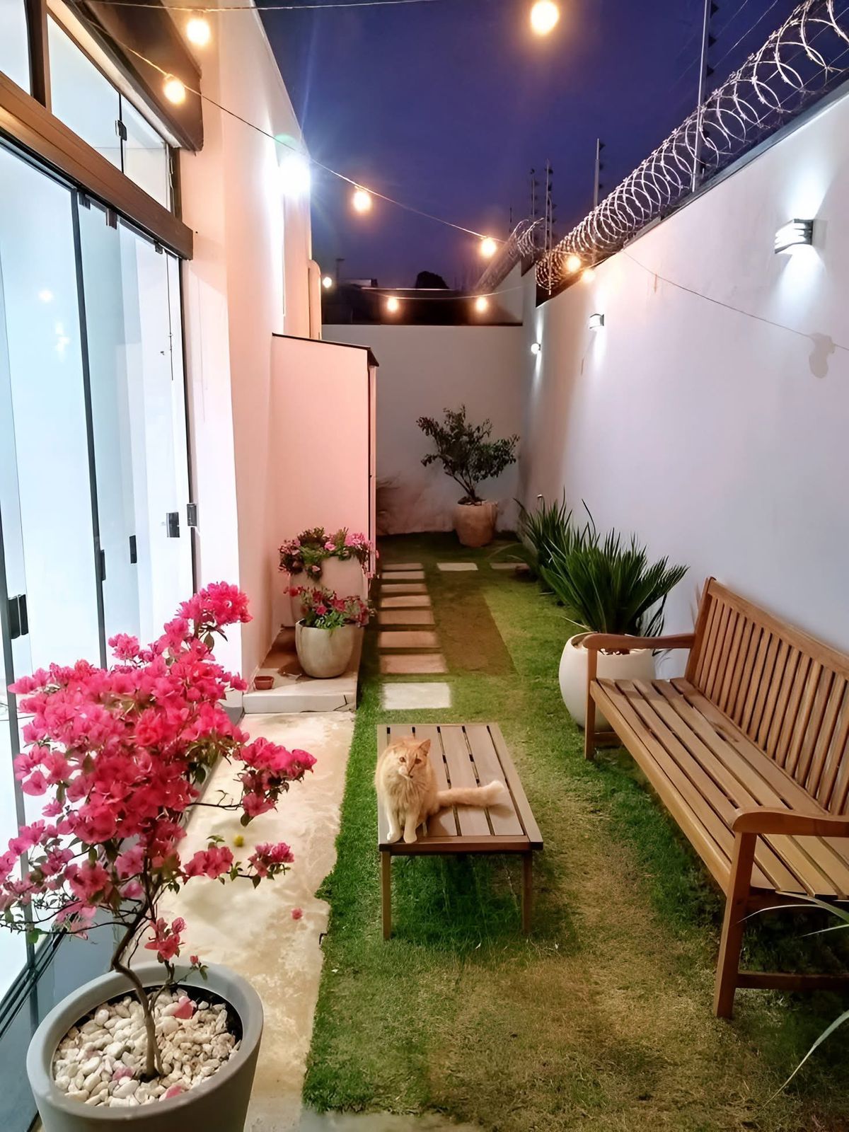 WhatsApp Image 2025-08-10 at 6.44.15 PM